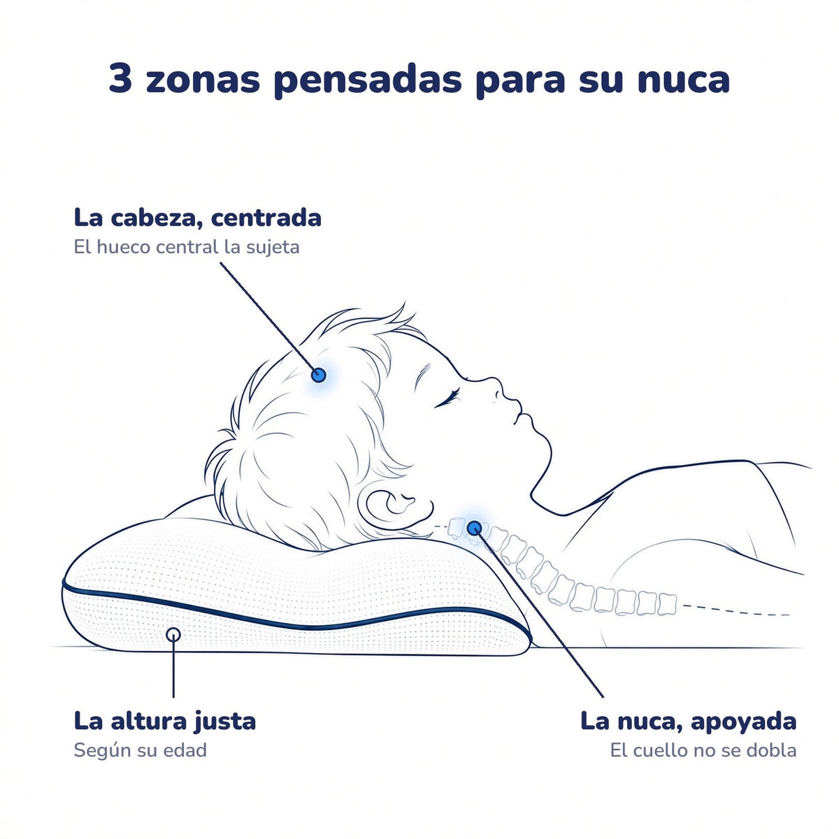 Las 3 zonas de la almohada