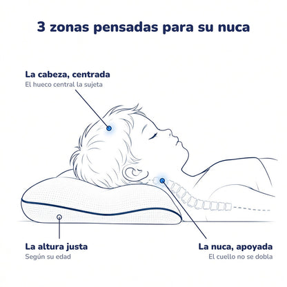 Las 3 zonas de la almohada